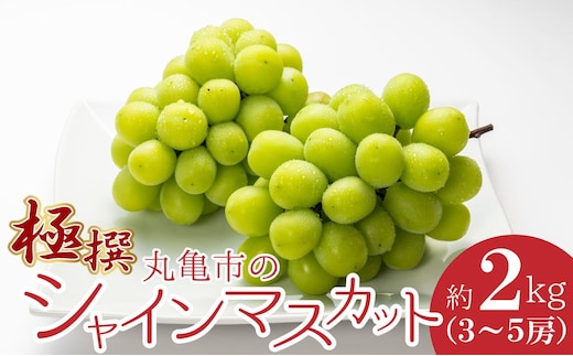 極撰！丸亀市の「シャインマスカット」約2kg（3～5房）