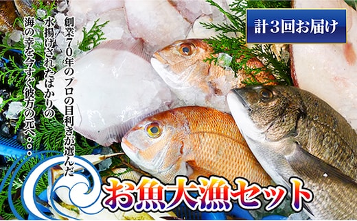 ［頒布会3回］瀬戸内海産の海産物の詰め合わせ（下処理アリ） タイ サザエ カレイ サヨリ チヌ 