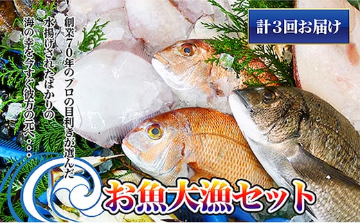 ［頒布会3回］瀬戸内海産の海産物の詰め合わせ（下処理ナシ） タイ サザエ カレイ サヨリ チヌ 