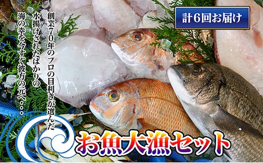 ［頒布会6回］瀬戸内海産の海産物の詰め合わせ（下処理アリ）