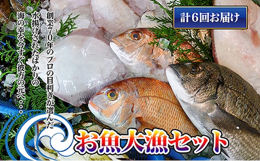 ［頒布会6回］瀬戸内海産の海産物の詰め合わせ（下処理ナシ）