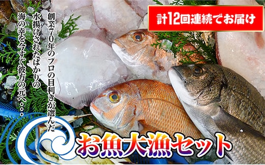 ［頒布会12回］瀬戸内海産の海産物の詰め合わせ（下処理アリ）