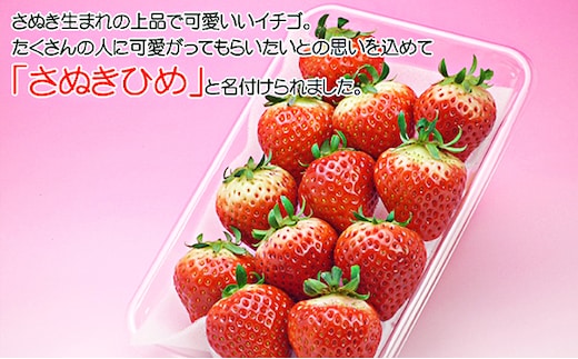 香川県のオリジナル品種/さぬき姫いちご2パック 果物類 苺 イチゴ フルーツ 