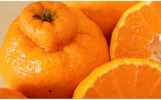 ご家庭向け！濃厚甘味「デコポン」 約5kg