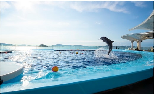 四国水族館 ＜大人＞ペア入館券 ／体験型 チケット 旅行 入場券 優待券 