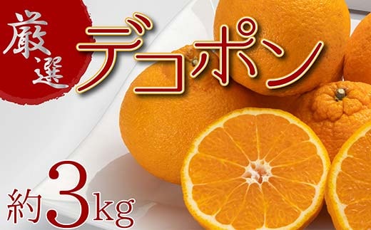 厳選！ぷりっぷり果肉♪濃厚甘味「デコポン」 約3kg FAH-0019