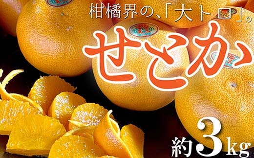 柑橘界の大トロ！三豊市の「せとか」 約3kg FAH-0020