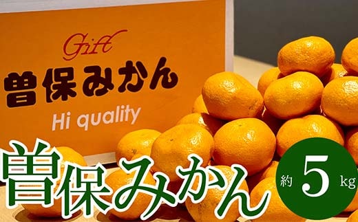 最高峰！三豊市の「曽保みかん」約5kg FAH-0021