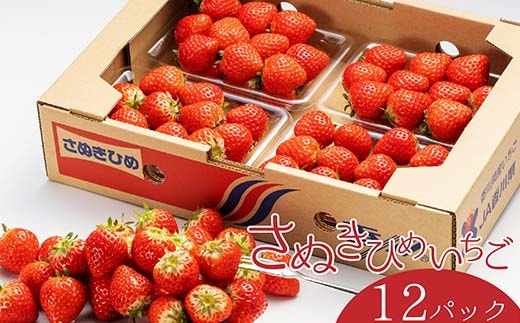 さぬき姫いちご 12パック(1パック約250g) FAH-0023