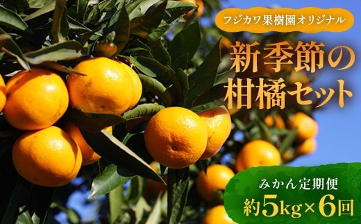 【6回 頒布会】みかん 定期便 6回《高糖度温州みかんからスタート》 フルーツ フジカワ果樹園オリジナル（新季節の柑橘セット） 果物 FAH-0040
