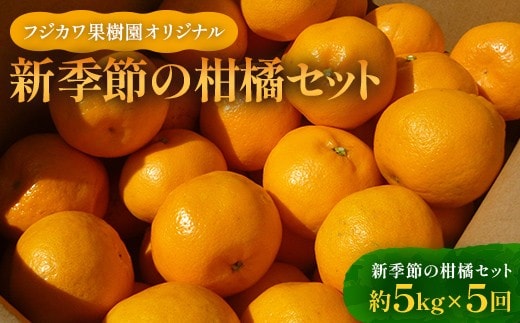 みかん 定期便 5回《フジカワ温州みかんからスタート》 フルーツ フジカワ果樹園オリジナル（新季節の柑橘セット） 果物 FAH-0041