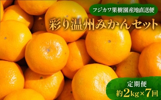 【7回頒布会】《9月下旬温州みかん（極早生）からスタート》～フジカワ果樹園産地直送便～香川県産・彩り温州みかんセット FAH-0045