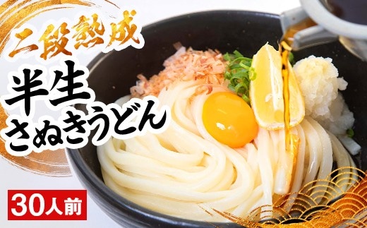二段熟成半生さぬきうどん30人前（300g×10袋） FAH-0094