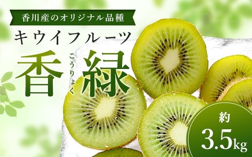 香川産のオリジナル品種キウイフルーツ［香緑］約3.5kg FAH-0132