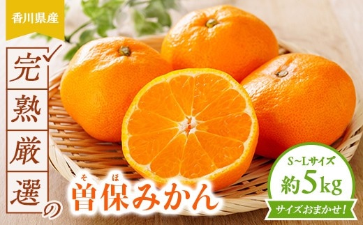 完熟厳選の曽保みかん約5kg FAH-0139