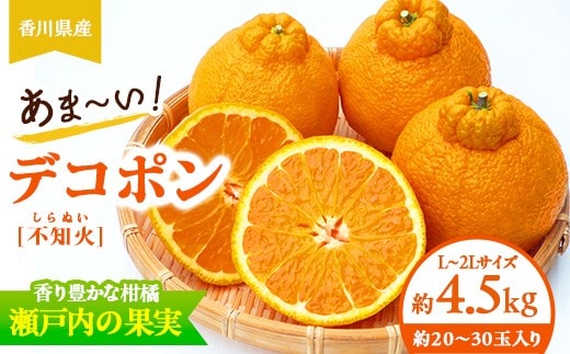 香川県産あま～いデコポン［不知火］約4.5kg FAH-0142