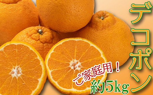 ご家庭向け！濃厚甘味「デコポン」 約5kg FAH-0143