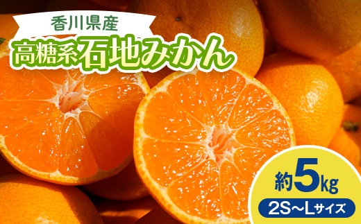2026年冬よりお届け 高糖系石地みかん 約5kg 果物類 柑橘類 フルーツ ギフト ジュース 果肉 みかん果汁 甘い ５キロ FAH-0173