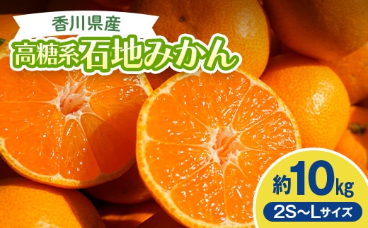2026年冬よりお届け 高糖度系石地みかん 約10kg 果物類 柑橘類 フルーツ ギフト ジュース 果肉 みかん果汁 甘い 10キロ FAH-0174