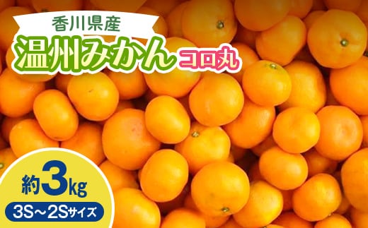 2026年秋よりお届け 瀬戸内 小みかん！コロ丸 約3kg 果物類 柑橘類 フルーツ FAH-0184
