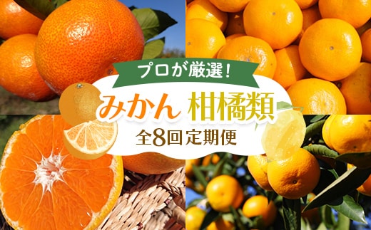 【8回 頒布会】《11月温州みかん（早生）からスタート》みかん 柑橘類 定期便 彩り柑橘 8回 フルーツ フジカワ果樹園セレクト 果物 果物類 フルーツ FAH-0190