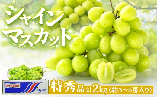 シャインマスカット 特秀品 ザ・クラス 2kg 詰め合わせ 大粒 3～5房 新品種 皮ごと フルーツ 旬 香川県 四国 FAH-0195
