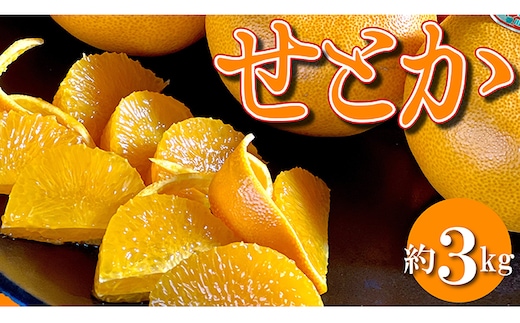 柑橘界の大トロ！三豊市の「せとか」 約3kg