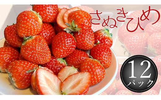 さぬき姫いちご 12パック(1パック約250g)