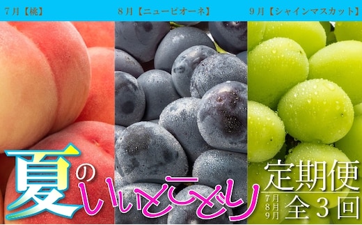 夏のいいとこどり定期便【全3回】 果物 桃 ぶどう フルーツ 果汁 甘い 濃厚 風味 種なし マスカット ジューシー 人気 セット 詰合せ 