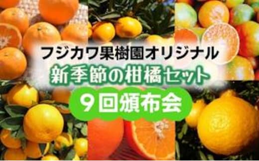 【9回頒布会】フジカワ果樹園オリジナル・新季節の柑橘セット 果物類 フルーツ 詰合せ お歳暮 御歳暮 お年賀 みかん 果物 