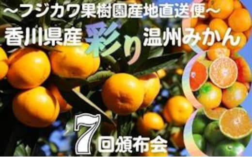 【7回頒布会】～フジカワ果樹園産地直送便～香川県産・彩り温州みかんセット 果物類 フルーツ 詰合せ お歳暮 御歳暮 お年賀 果物 