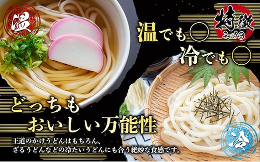 讃岐うどん 乾麺 うどん【賞味期限最大2年】讃岐うどん64人前（乾麺/常温保存）／本場の老舗 大喜多製粉所が作る万能讃岐うどん ロングライフ 備蓄 |  dショッピングふるさと納税百選