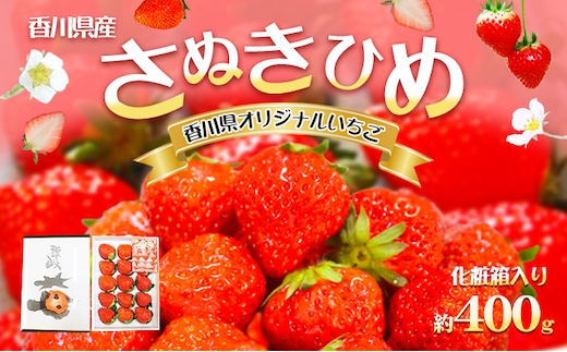 【1月から順次発送】さぬきひめ苺（化粧箱入り） 果物類 いちご イチゴ 