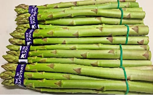 香川県オリジナルアスパラガス「さぬきのめざめ」春芽 約500g 野菜 
