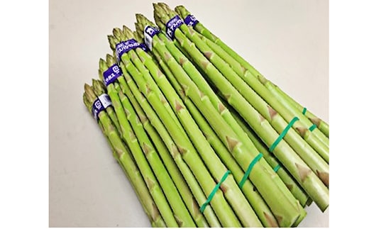 香川県オリジナルアスパラガス「さぬきのめざめ」春芽 約1.5kg 野菜 