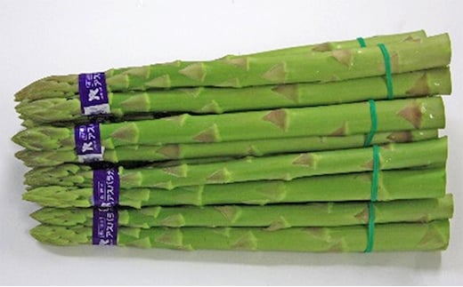 香川県オリジナルアスパラガス「さぬきのめざめ」夏芽 約700g 野菜 