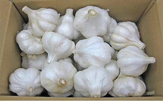 乾燥にんにく約１.5kg 野菜 