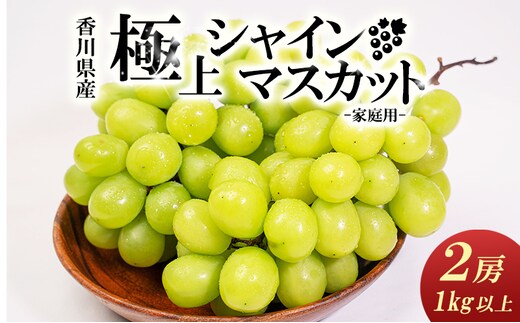 【お得用】シャインマスカット　2房入り 1kg以上　讃岐産 果物 ぶどう フルーツ 葡萄 種なし 