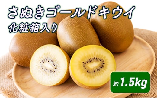 さぬきゴールドキウイ 化粧箱（約1.5kg）_キウイフルーツ 果物詰合せ くだもの 