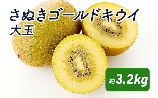 さぬきゴールドキウイ 大玉約3.2kg_キウイフルーツ 果物詰合せ くだもの 