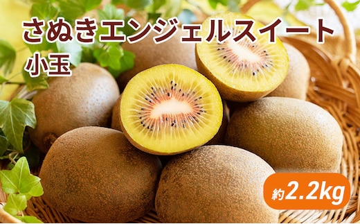 さぬきエンジェルスイート 小玉約2.2kg_キウイフルーツ 果物詰合せ くだもの 