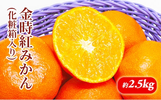 金時紅みかん 化粧箱（約2.5kg）_みかん 果物類 柑橘類 フルーツ ミカン 蜜柑 くだもの 