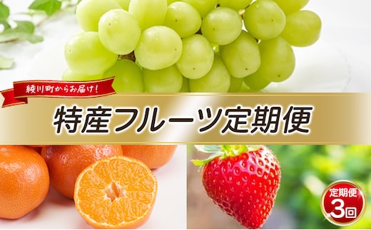 特産 フルーツ 定期便 （年3回） 果物類 柑橘類 みかん いちご 苺 イチゴ ぶどう マスカット 