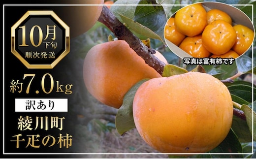 全国でも有名な「綾川町産千疋の柿」訳ありサイズ混合 約7.0kg 果物 フルーツ 秋 秋の味覚 おやつ デザート 食後 特産品 果実 香川県産 産地直送 国産 旬 