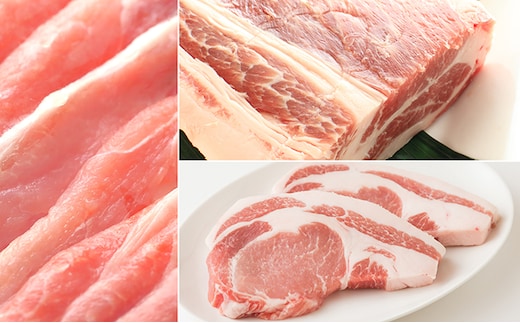 讃岐もち豚 ローススライス・テキカツ・ブロック 各1kgセット お肉 豚肉 