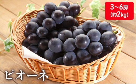 大粒で濃厚な甘み「ピオーネ」 約2kg