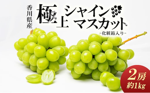 綾川町産 極上シャインマスカット 2房（化粧箱入り）