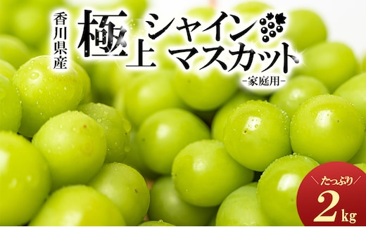 シャインマスカット たっぷり約2kg