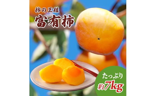 柿の王様 富有柿 たっぷり7kg 果物類 