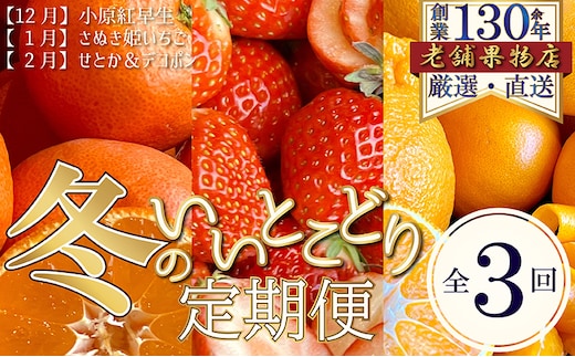 【全3回】冬のいいとこどり定期便（12・1・2月発送） 